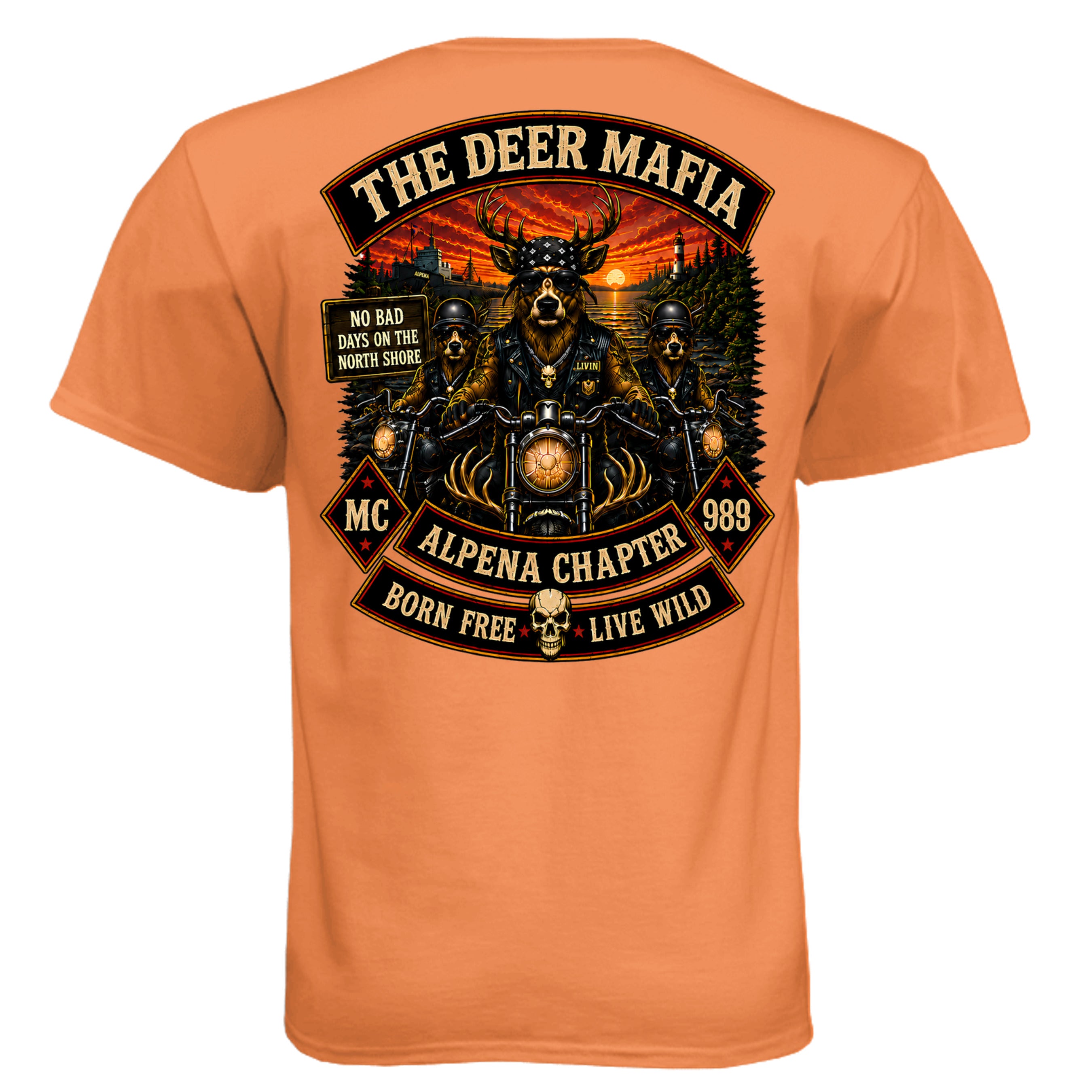 Orange - N6210 - BACK